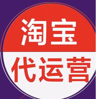 天貓品牌運營計劃書