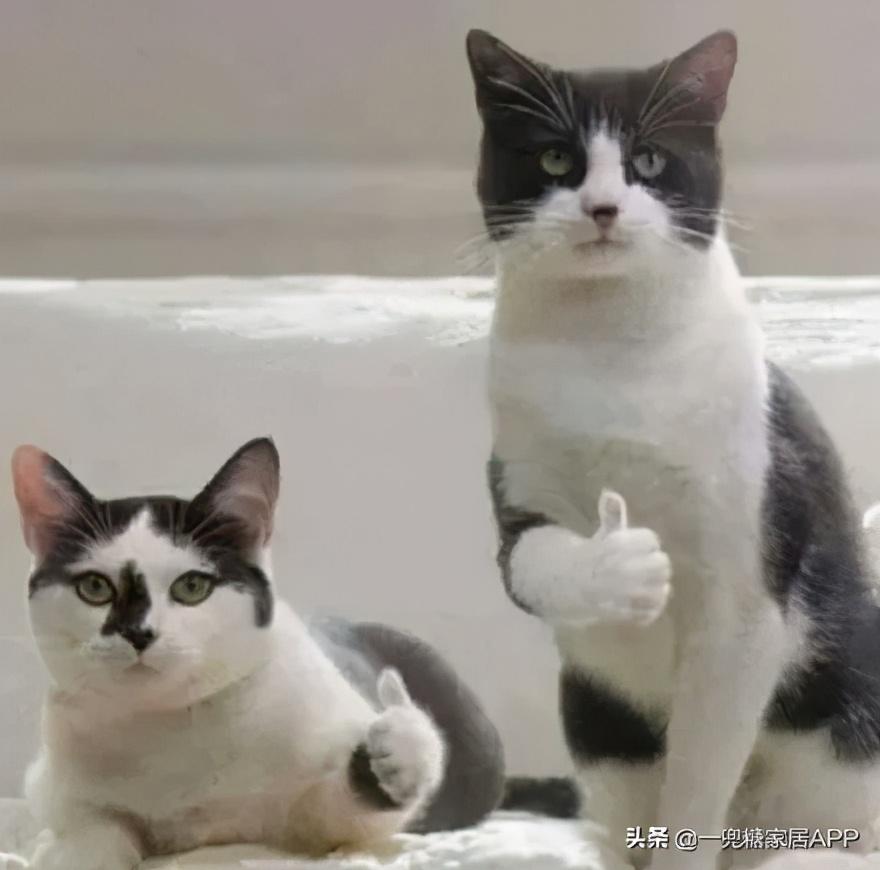 網(wǎng)購(gòu)哪個(gè)網(wǎng)站是正品又便宜？這幾個(gè)神仙網(wǎng)站還有人不知道？