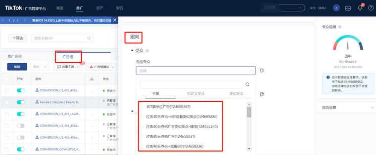 TikTok廣告如何創建受眾？