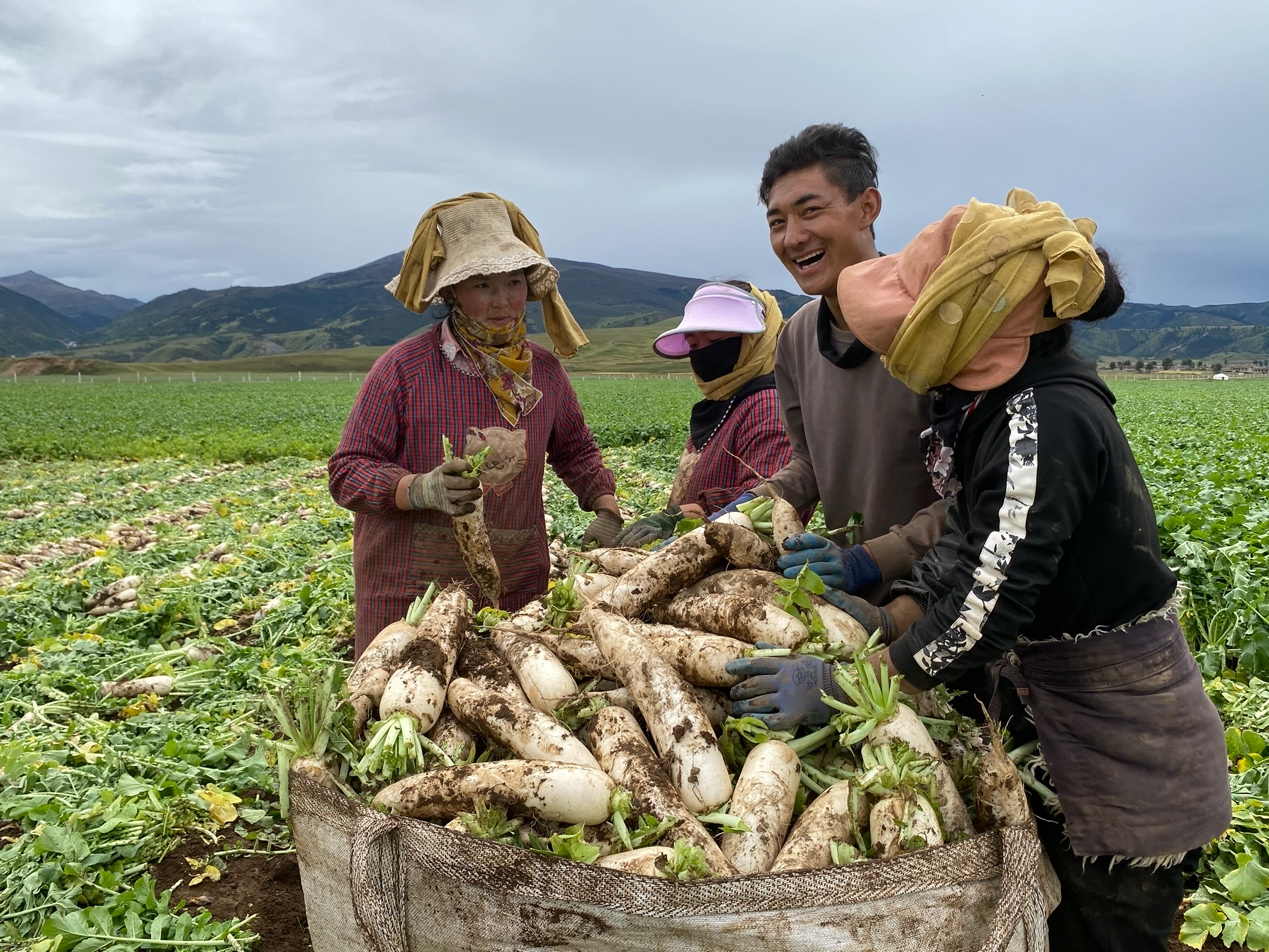 阿里巴巴豐收節(jié)：160個(gè)重點(diǎn)幫扶縣農(nóng)產(chǎn)品線上銷售增長(zhǎng)19.3%