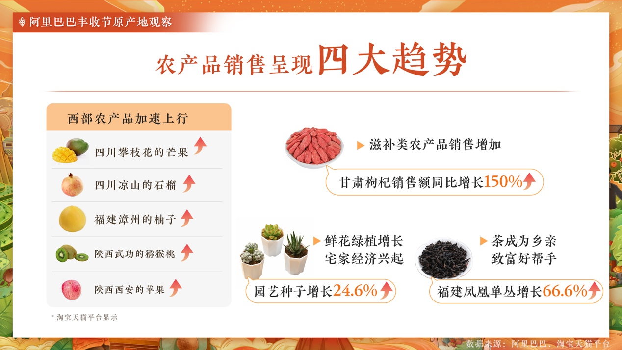 阿里巴巴豐收節(jié)：160個(gè)重點(diǎn)幫扶縣農(nóng)產(chǎn)品線上銷售增長(zhǎng)19.3%