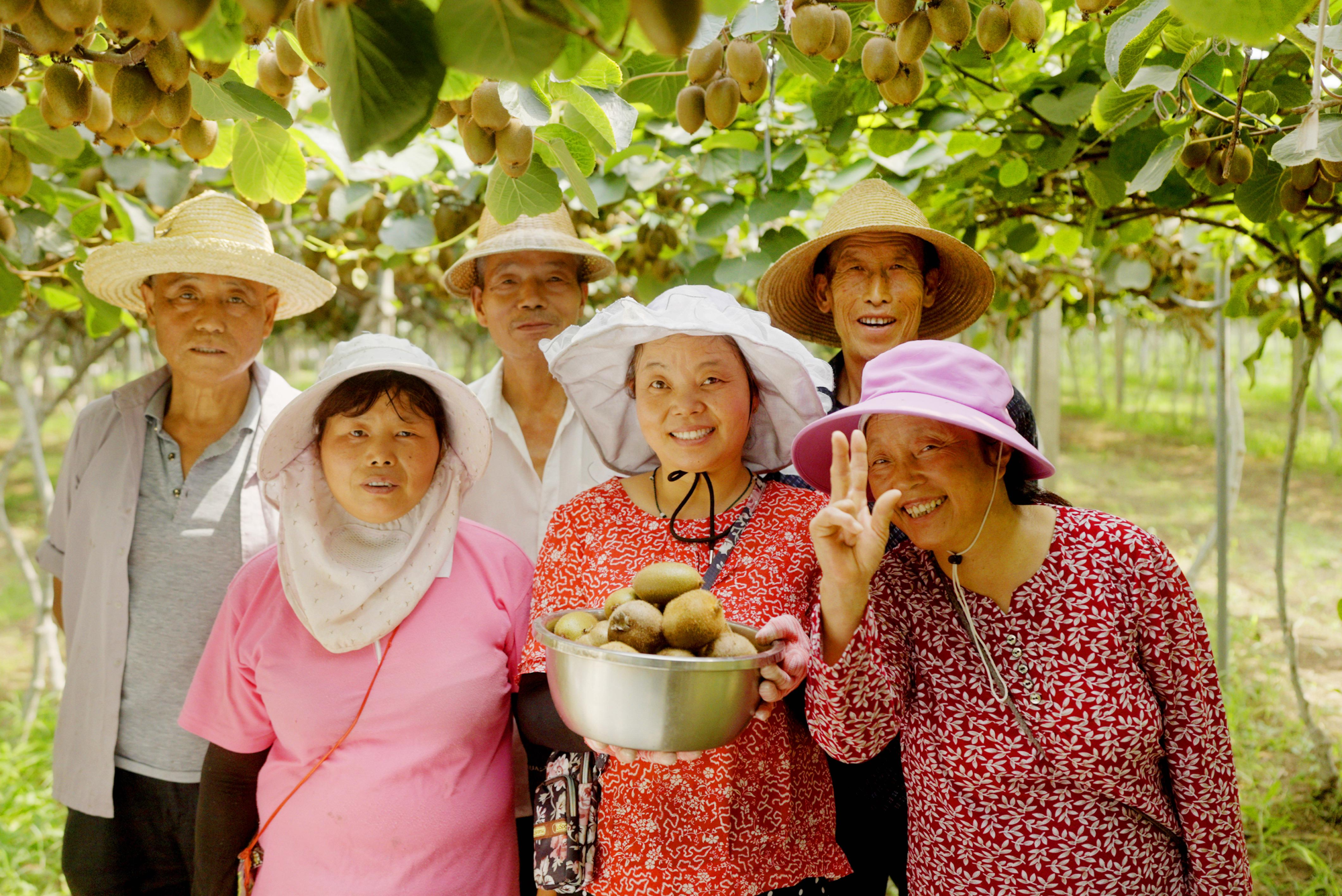 阿里巴巴豐收節(jié)：160個(gè)重點(diǎn)幫扶縣農(nóng)產(chǎn)品線上銷售增長(zhǎng)19.3%