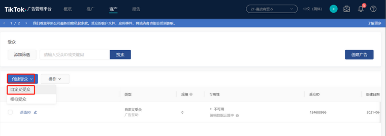 TikTok廣告如何創建受眾？