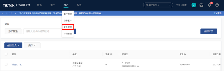 TikTok廣告如何創建受眾？