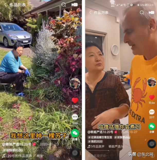 澳洲楊姐個(gè)人資料?最近狀況怎么樣？