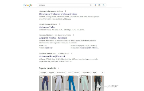 獨(dú)立站引流的方式有哪些？8種社交媒體裂變引流方法