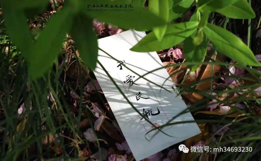 scac是什么學校？2022年SCAC上海市專科自主招生信息