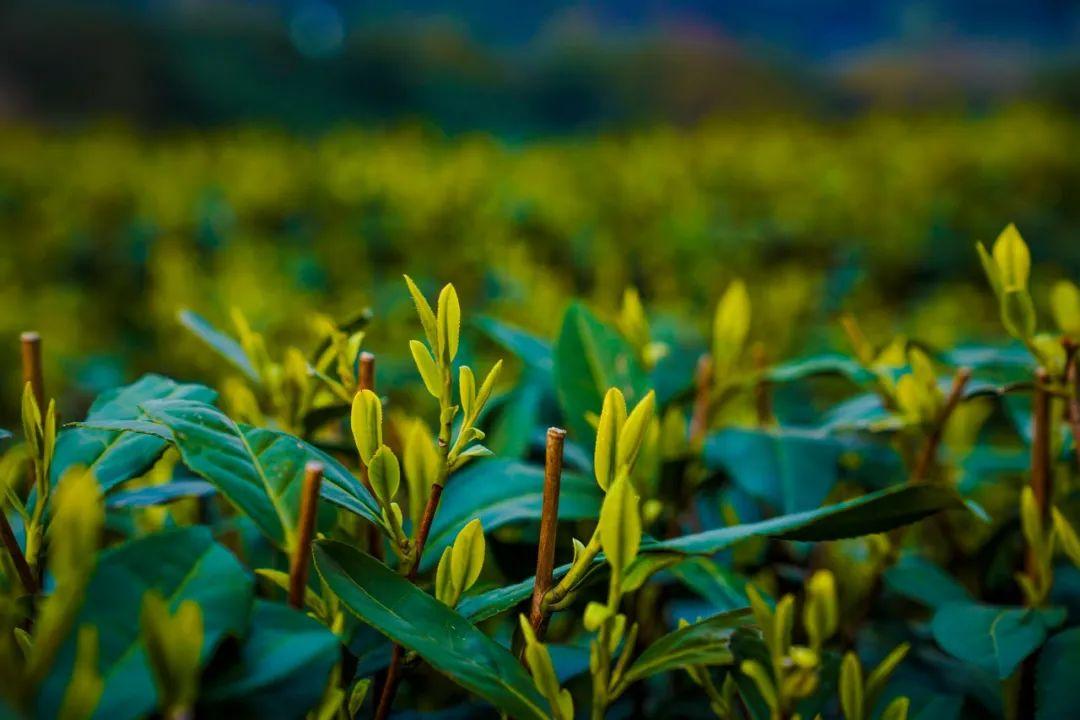包郵區有哪些？關于國內包郵地區的全面介紹及原因分析