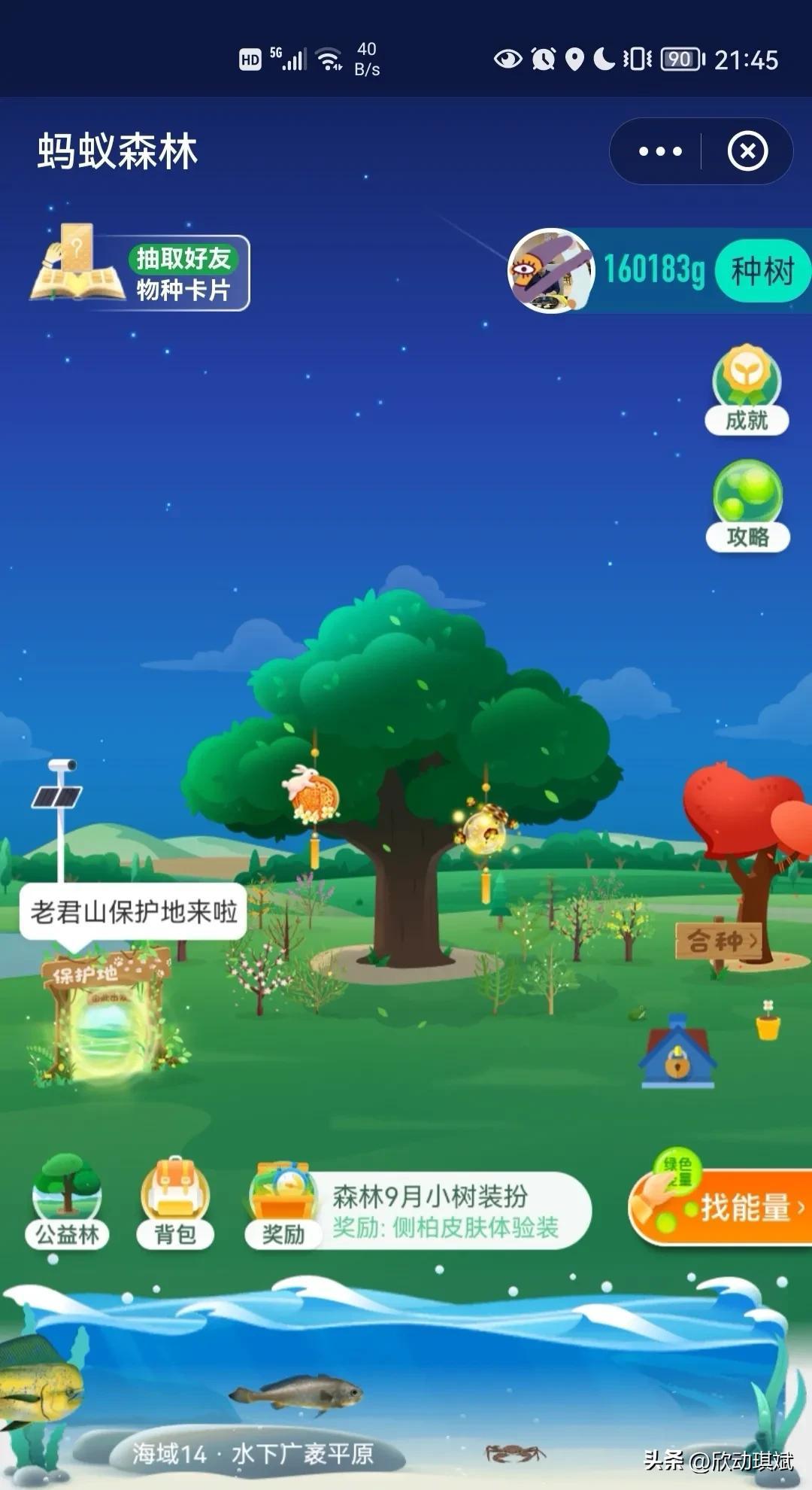 支付寶螞蟻森林種樹有什么用？分析螞蟻森林種樹的作用及意義