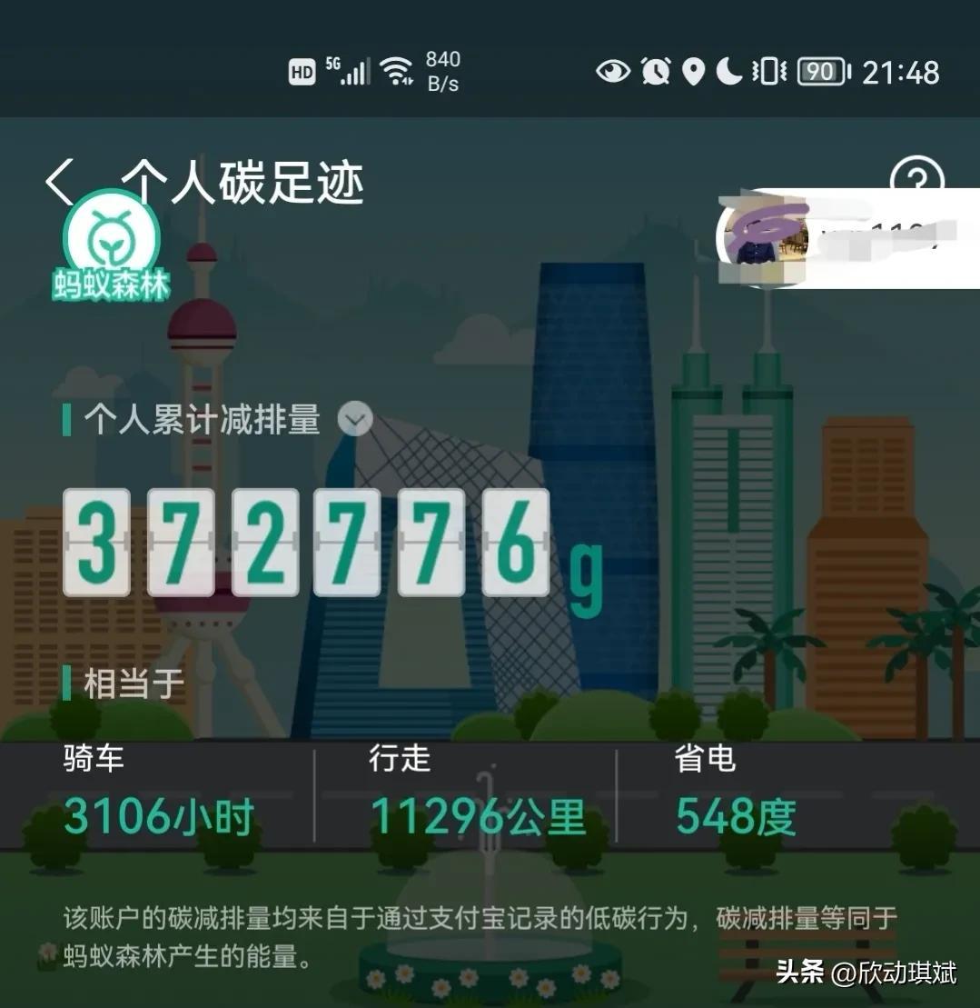 支付寶螞蟻森林種樹有什么用？分析螞蟻森林種樹的作用及意義