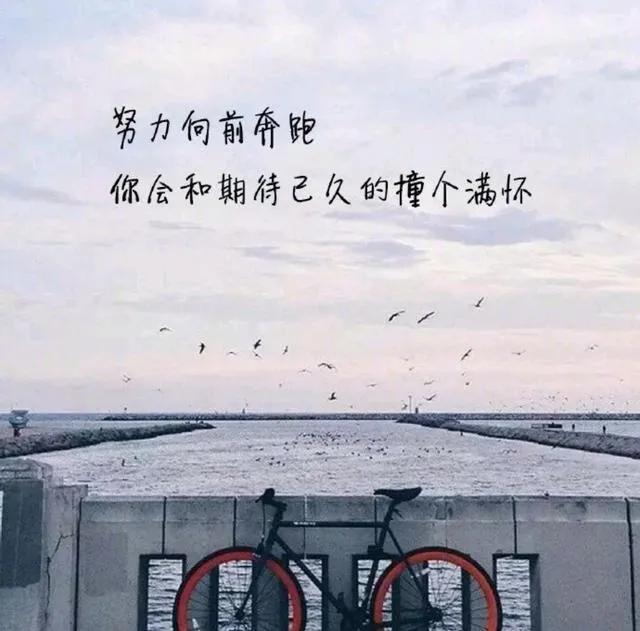 正能量段子文案（容易上熱門的正能量文案精修合集）