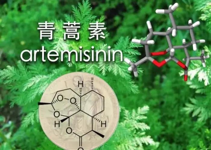 中國十大黑科技產(chǎn)品有哪些？國內(nèi)比較驚艷的領(lǐng)先全球的黑科技產(chǎn)品