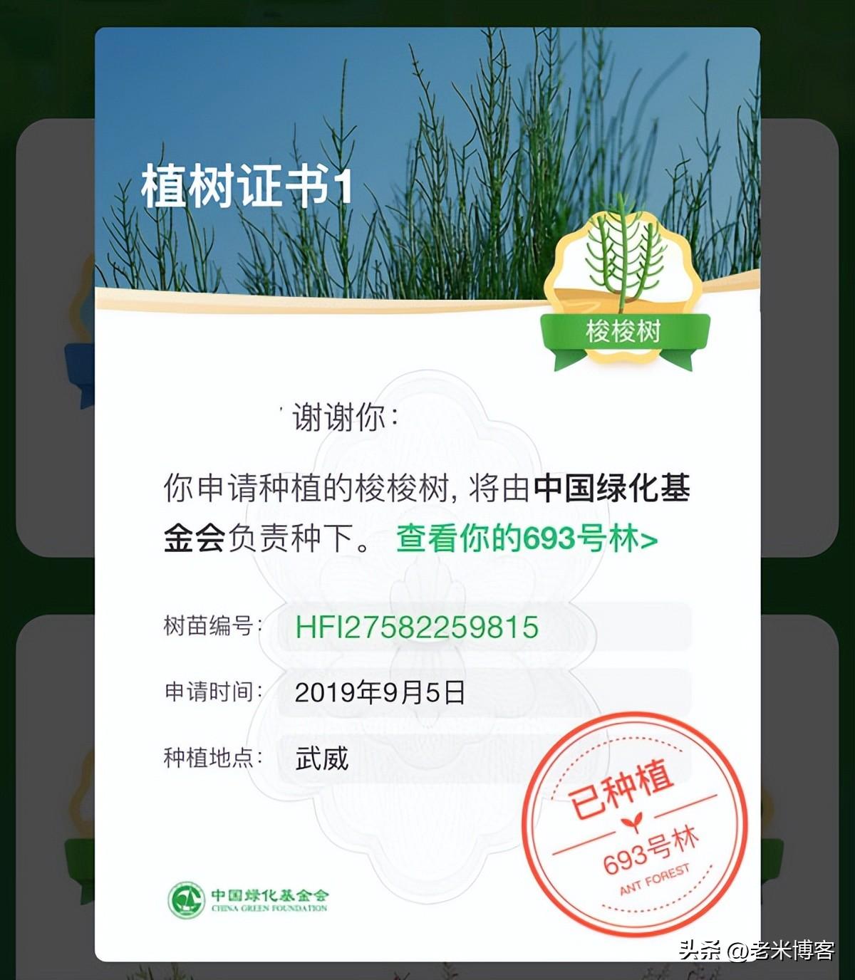 螞蟻森林有什么用？支付寶螞蟻森林能量的作用及種樹新功能解析