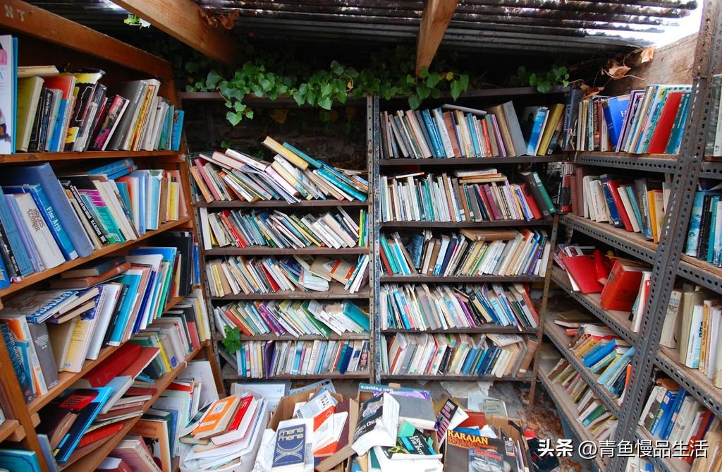 亞馬遜書城官網（亞馬遜網上書店排行榜）