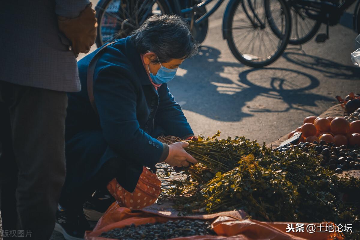 貨比三家是什么意思？通常意義上說的貨比三家指的是什么？