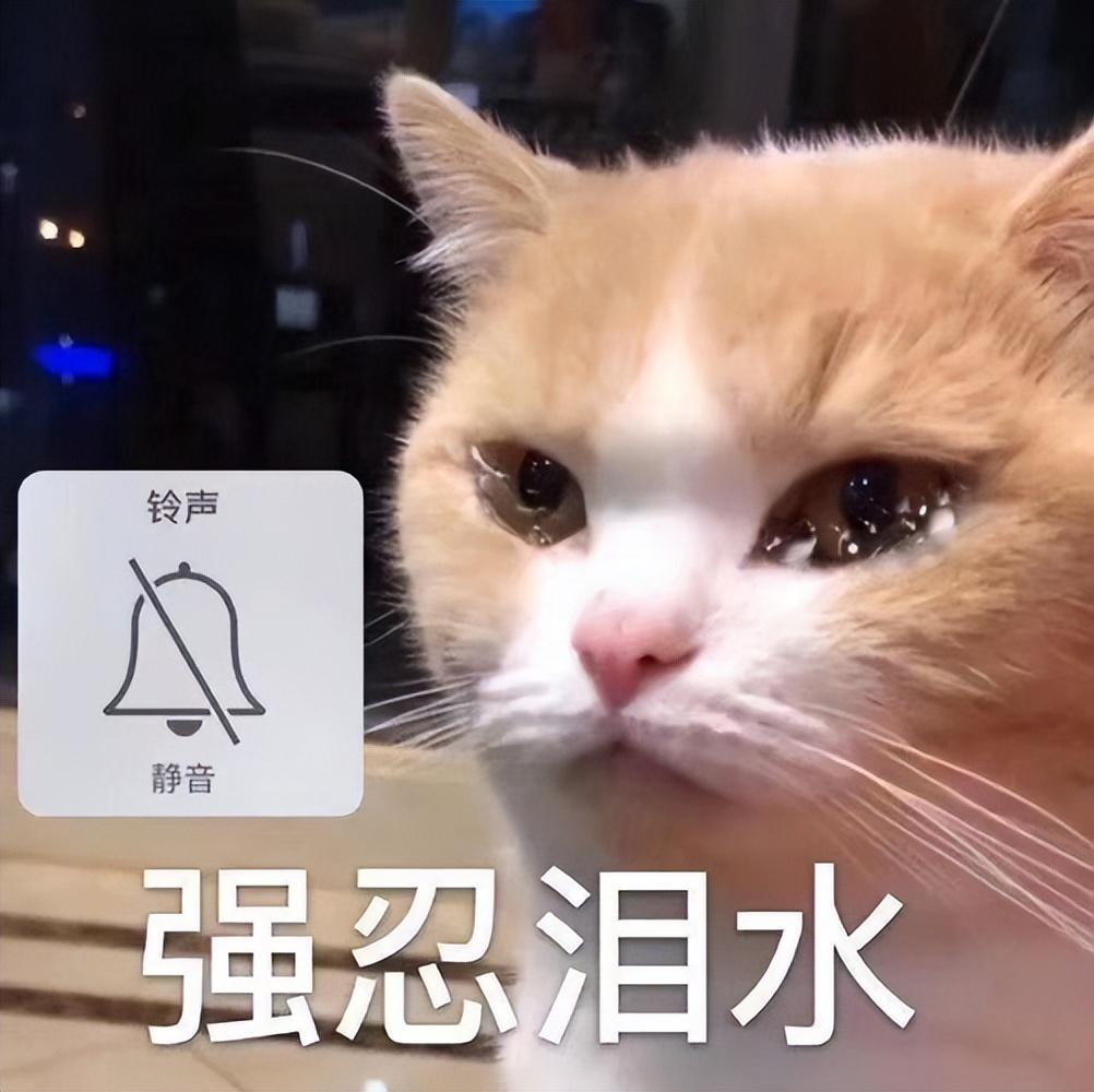 森馬旗下八大品牌有哪幾個？森馬品牌現階段發展狀態及產品銷售