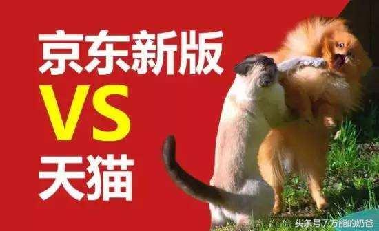 京東和淘寶的區(qū)別在哪里？帶你了解兩大電商平臺的區(qū)別及優(yōu)勢對比分析