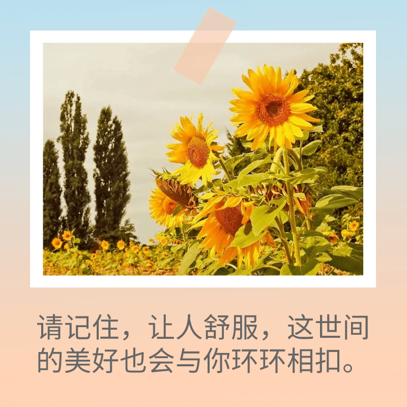 打白條是什么意思？京東白條支付的含義及額度提升的辦法