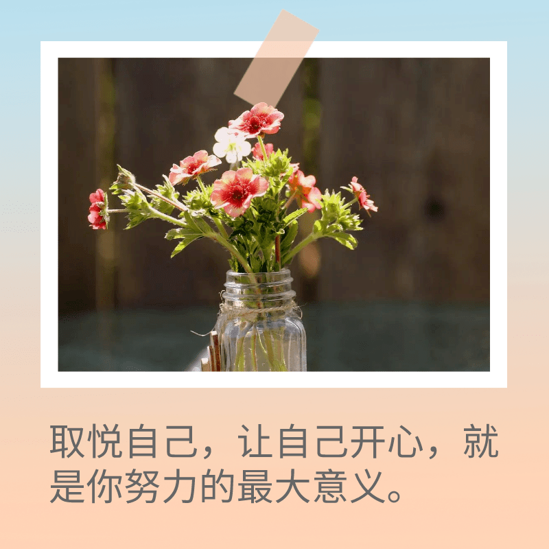 打白條是什么意思？京東白條支付的含義及額度提升的辦法