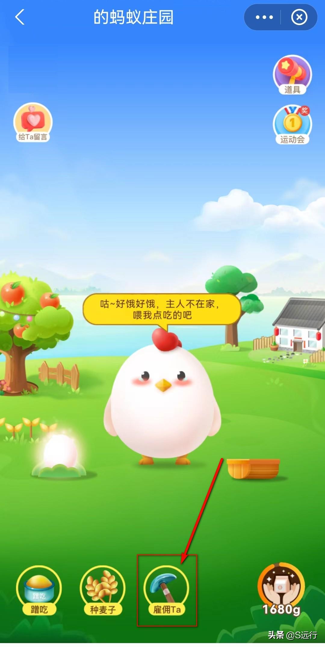 支付寶的螞蟻莊園怎么玩？支付寶莊園被打跑的小雞怎么請回來？