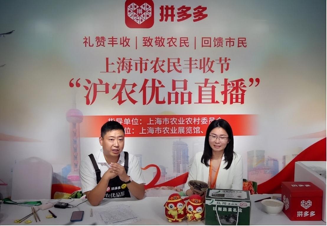 拼多多怎么賺錢盈利？拼多多平臺的運營模式和盈利模式是怎樣的？