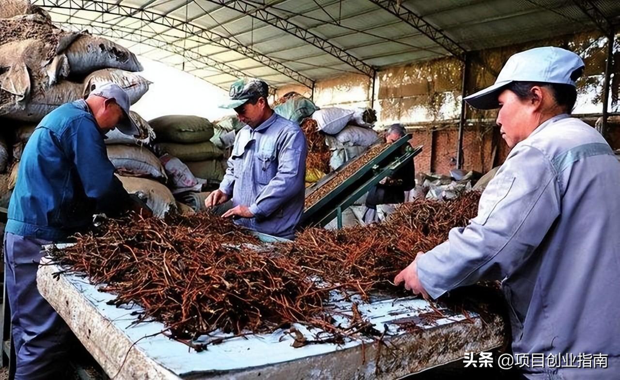什么東西好賣？適合新手做的十大冷門暴利生意