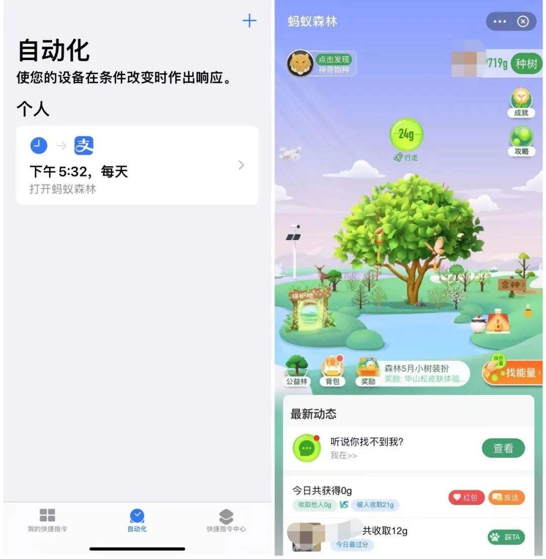 支付寶收螞蟻能量有什么用？支付寶一鍵收取螞蟻森林能量的攻略