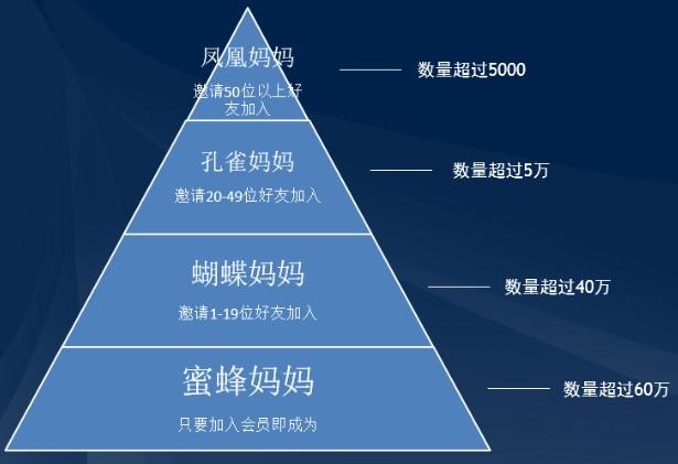 v店是什么意思？大V店的會員運營體系及社群運營介紹