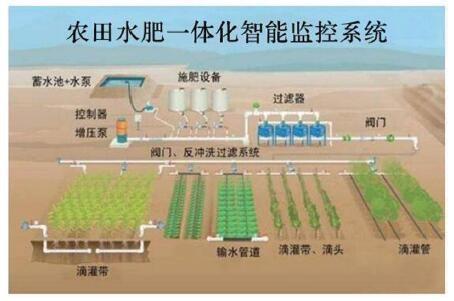 生產經營方式有哪些？盤點幾種現代農業生產經營的常見模式