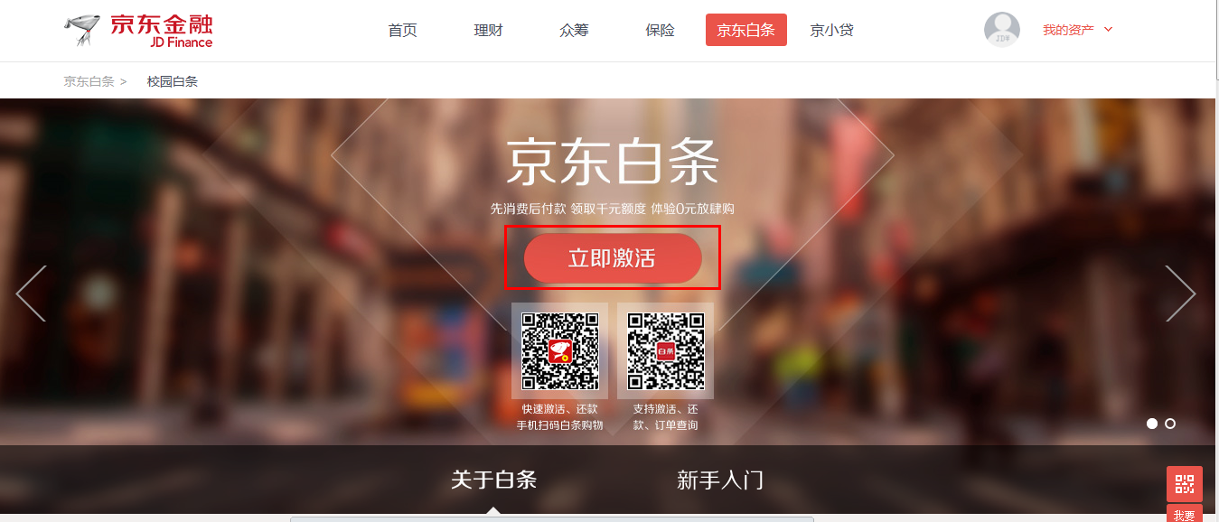 什么是白條支付？京東開通白條致富流程及條件