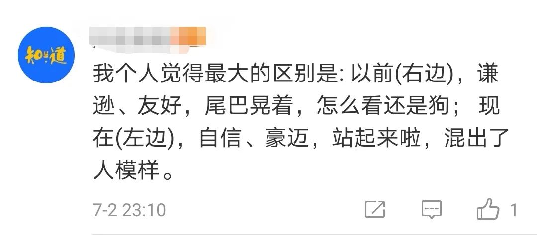 京東圖標為什么是一只狗？京東圖標含義詳解