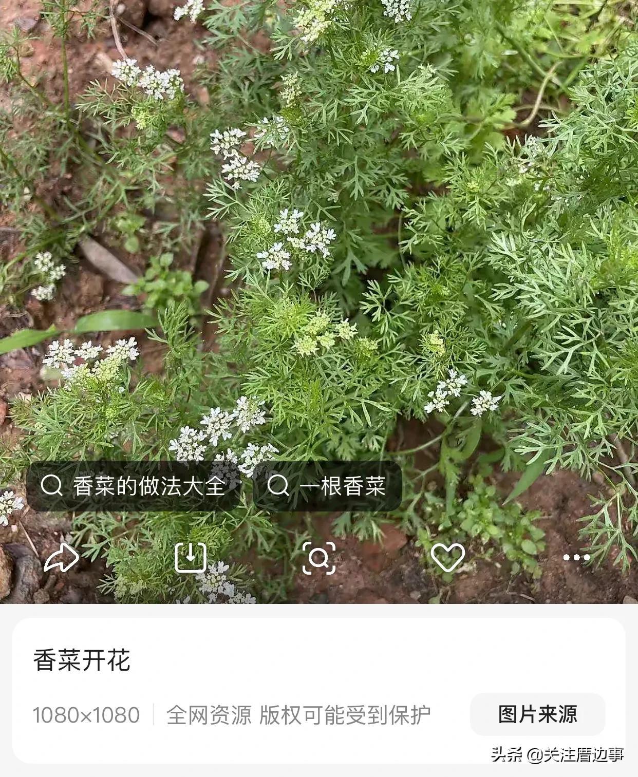 蹭熱度是什么意思？關于趁熱度與蹭熱度的區(qū)別是什么？