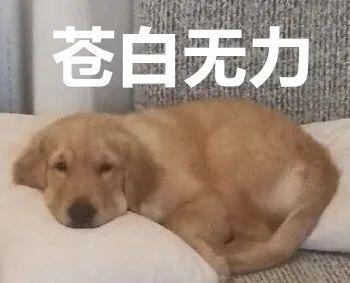 注銷京東白條有什么影響？京東白條還完注銷影響征信嗎？