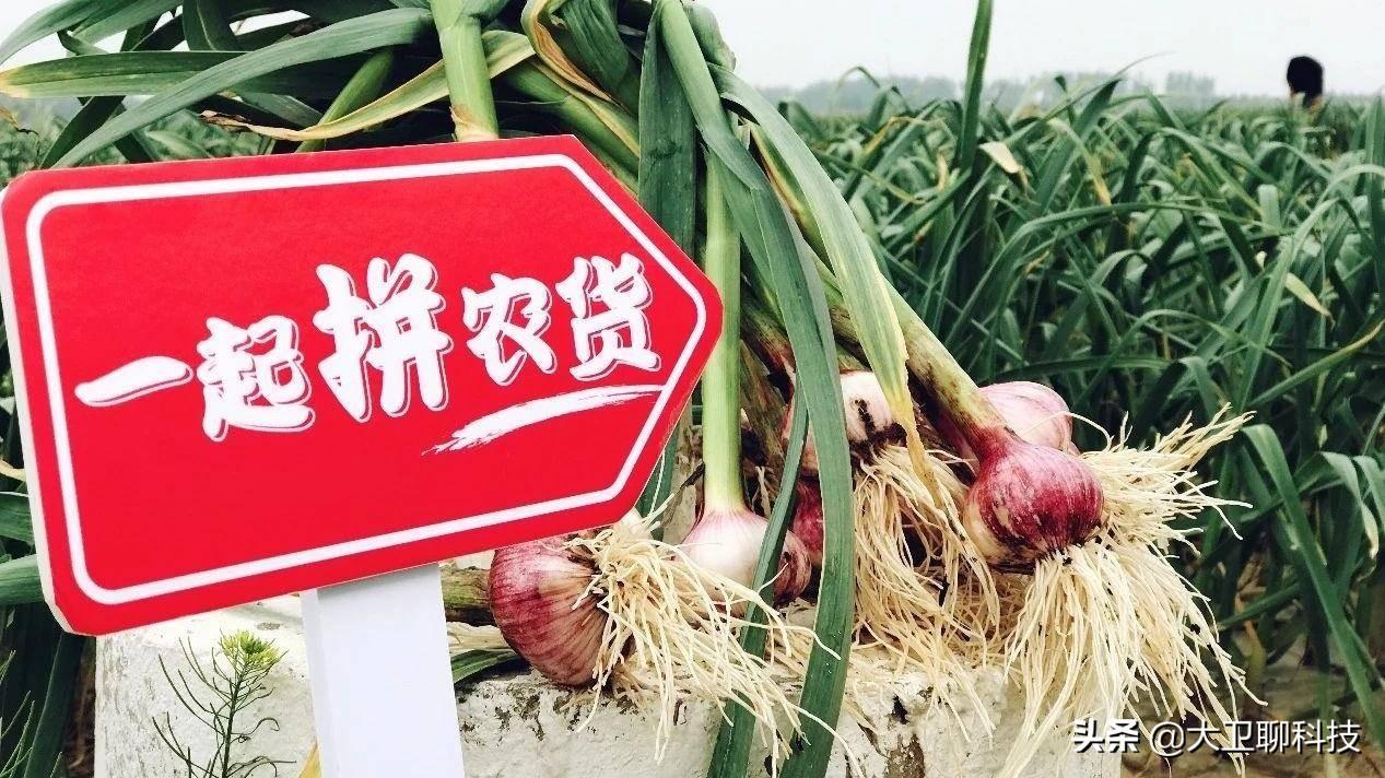 拼多多一塊買(mǎi)一萬(wàn)單怎么買(mǎi)的？拼多多買(mǎi)九塊九的商品搜什么？