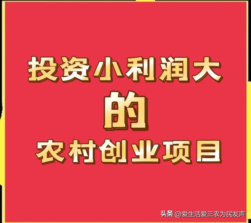 有啥創(chuàng)業(yè)好的項(xiàng)目？適合個(gè)人的投資小的創(chuàng)業(yè)項(xiàng)目推薦