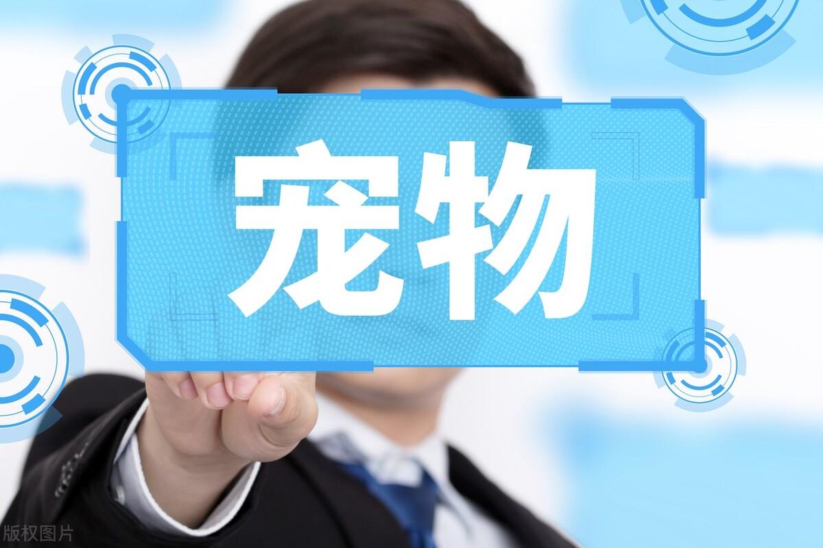 2023年適合投資的項目有哪些？2023十大冷門暴利行業推薦