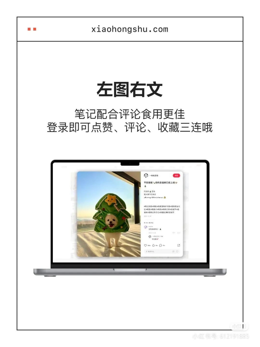 小紅書官網網頁版登錄（小紅書網頁版正式上線后的功能介紹）
