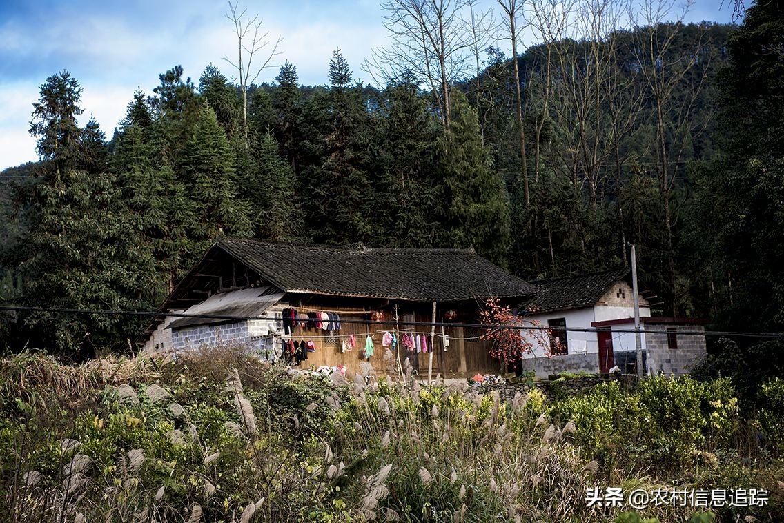 家庭養(yǎng)殖好項目有哪些？不愁銷路可致富的農(nóng)村養(yǎng)殖項目推薦
