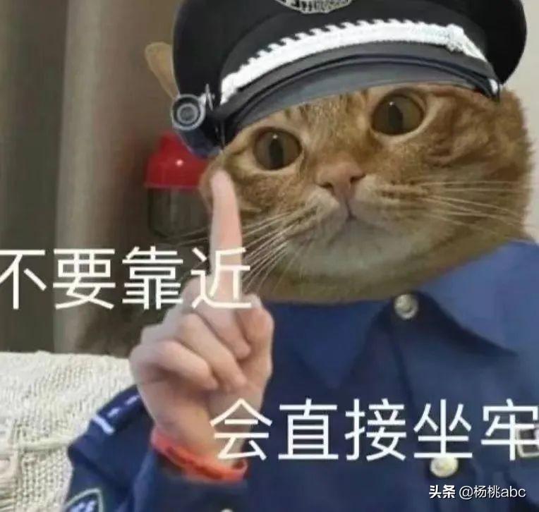 保稅倉的東西是正品嗎？國內正規的保稅倉有哪些？