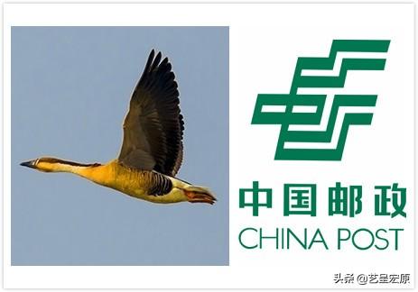順豐圖標的含義是什么？十家物流快遞公司logo設計釋義講解