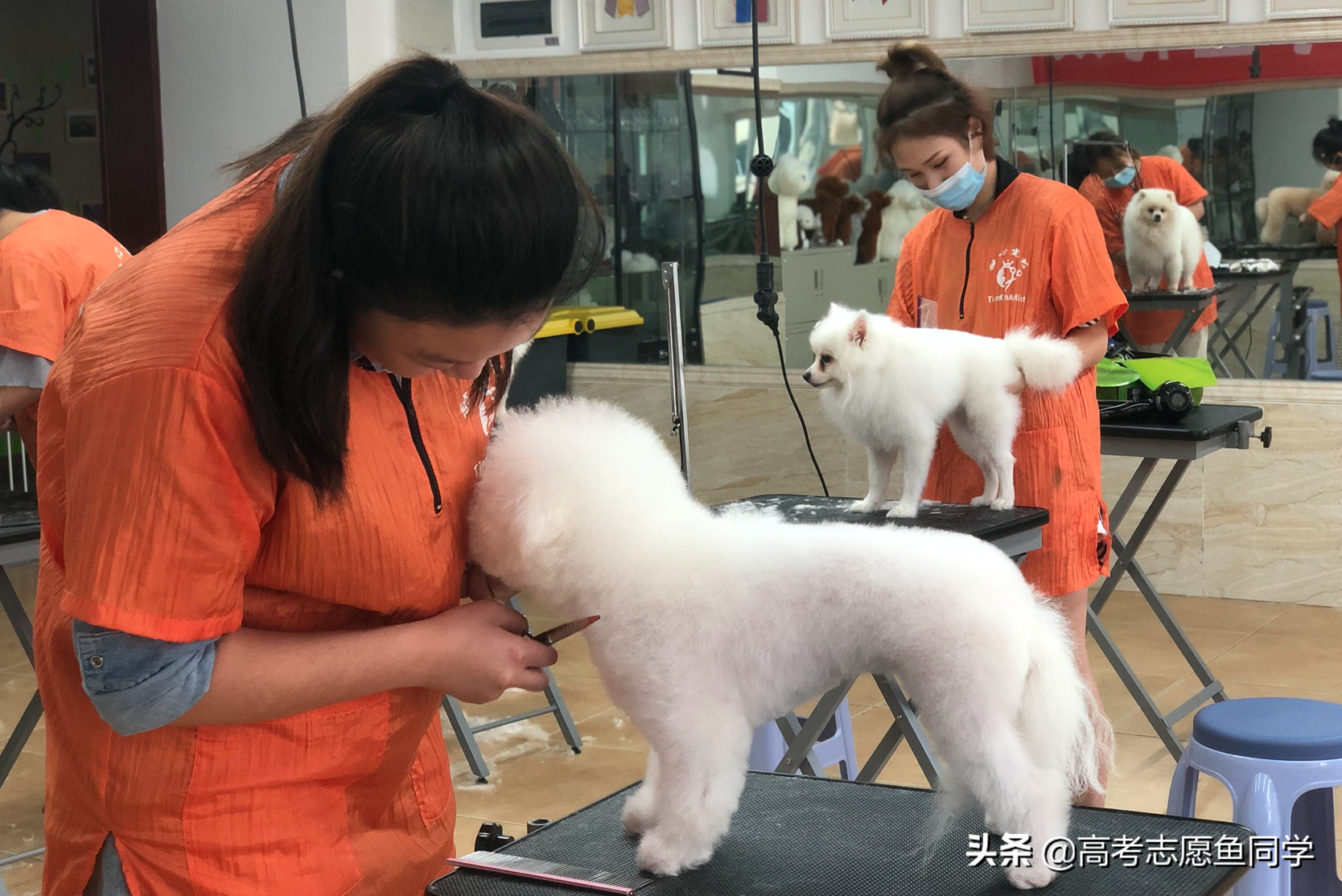 想學一門手藝不知道學什么？年輕人現在學什么手藝最吃香？