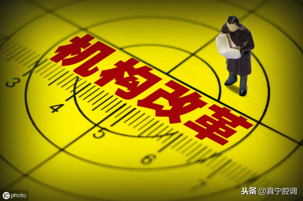 三定方案是指哪三定？三定方案管理原則和內容是什么？