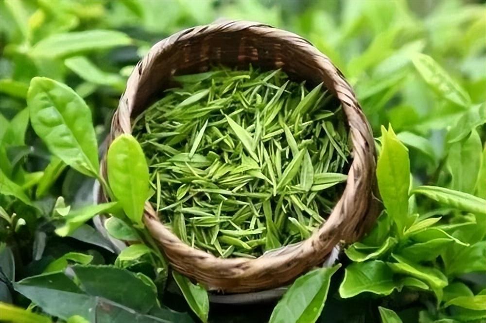 開(kāi)茶樓的利潤(rùn)和風(fēng)險(xiǎn)？盤點(diǎn)新手開(kāi)茶室的必備條件有哪些