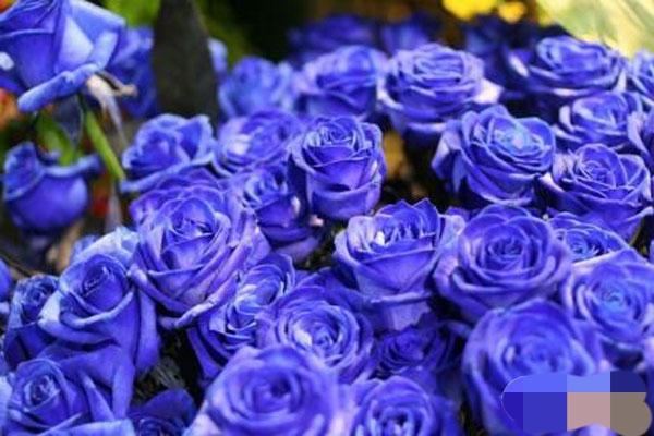 開花店賺錢嗎？新手加盟花店選擇哪個品牌好？