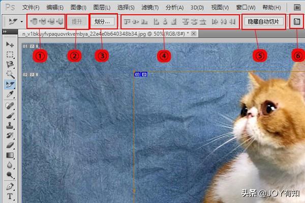 ps中的切片工具怎么用？ps用戶切片和自動(dòng)切片的區(qū)別是什么？