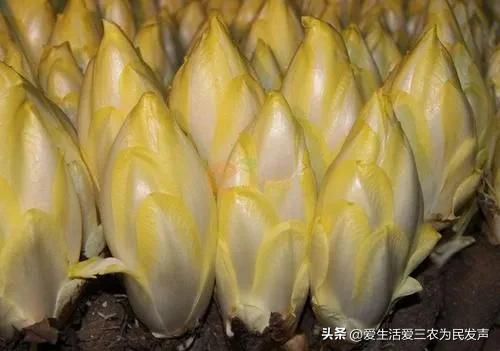 小買賣創(chuàng)業(yè)項(xiàng)目推薦（適合新手做的小生意創(chuàng)業(yè)項(xiàng)目）