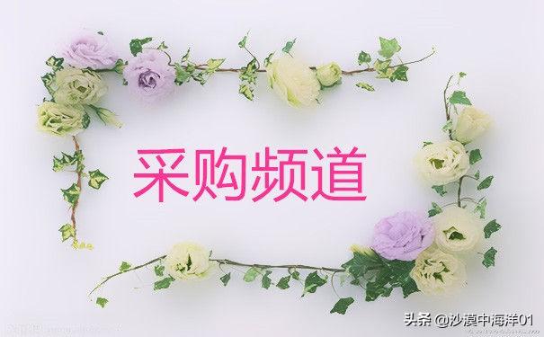 天貓企業購現在在哪里進入？天貓商家介入企業購的流程方式介紹