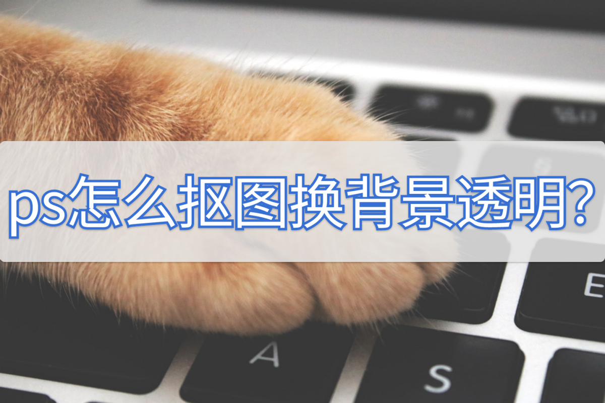 ps怎么摳圖換背景透明？教你用photoshop制作背景透明圖的方法
