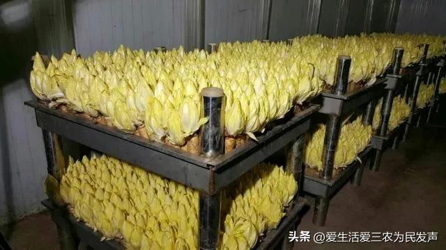 有啥創(chuàng)業(yè)好的項(xiàng)目？適合個(gè)人的投資小的創(chuàng)業(yè)項(xiàng)目推薦