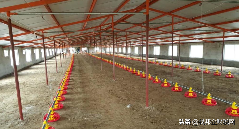 政府扶持辦廠項目（2023政府扶持辦廠項目排行榜名單一覽）